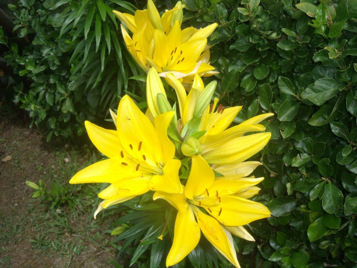 Lajes das Flores Casa Biancaヴィラ エクステリア 写真